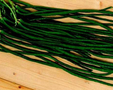 Orient Wonder Bean Seeds